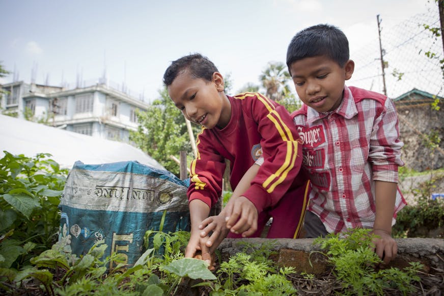 Kindaip en zijn vriend Mqynsong samen in de tuin